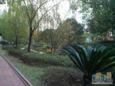 中南世纪城36幢loft公寓,诚心出售,拎包可住