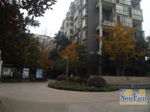 金沙西园三期1室1厅东南