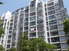 业主婚装丨保养很好丨电梯中层丨采光亮眼丨业主诚售丨看中可谈