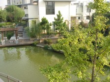 此房近地铁、全明毛坯三房、总价低、诚心出售!!