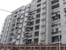 丰水宝邸(东苑) 1室1厅 南 北