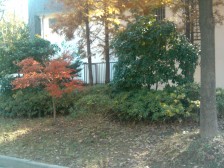 美兰湖颐景园5室南朝向578.00万元/套出售