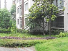 户型方正 看南山 拎包入住 住家安静