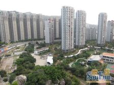 瑞景公园 楼中楼 南北通透 5房精装 满5年