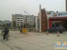 罗新苑东区 2室1厅 南