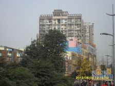 明华龙洲半岛 3室2厅 南 北