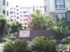 区域好房+带租赁车位、全明户型、中区视野好
