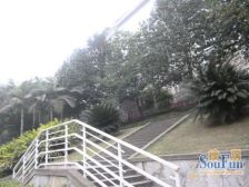 顶跃雅居:大宅容山海,露台揽清风,一隅静好慰平生!