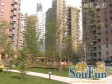 4和10号线海伦路,精装修高区1房,朝南采光好,随时能看房