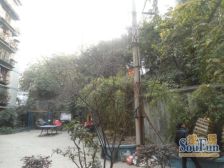 响水路 宁静小区(响水路)二房55万