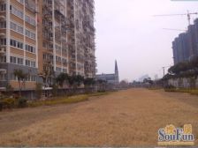 紫东花苑 2室2厅 南