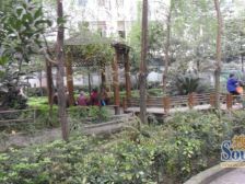 大坪龙湖时代天街对面,两室急售,可租1800