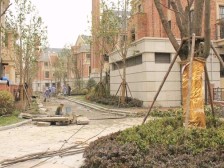 印象城旁丨纯别墅小区 联排西边套带花园丨纯毛坯