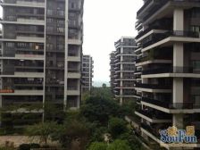 新装修,楼距宽,一期大阳台,轻奢智能家居