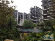 五缘湾 联发五缘湾1号 大平层 边套三面采光