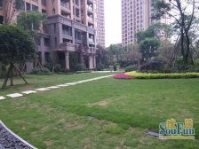 建发金沙里1室1厅西北