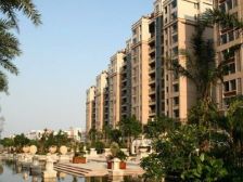 大平层四房单元 中楼层 东南向 南北对流花园景观