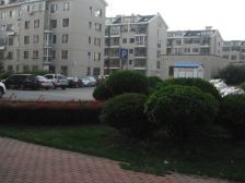 店长推荐 稀有小户型有电梯光线佳 近金三角大市场