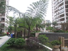 西西学府里(二期) 3室1厅 南