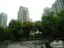 看这里|中间安静位置 别致景观 无增值税 有车位