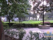 环线轻轨旁 清水大三房 业主安心出售