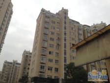 复式 带装修,景观房 视野无任何遮挡