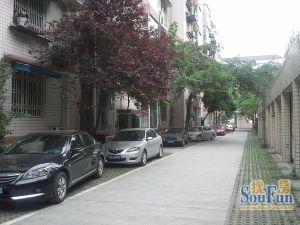 五一小区 3室2厅 东南