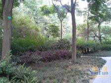 江南房子 4室2厅 东南