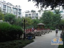 江南房子 5室2厅 东南