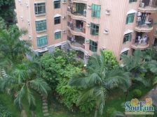 电梯3房 东南向 满五唯一 不欠款 过户快 位置好