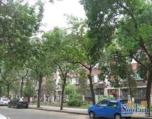 清河毛纺南小区明厅两居室低楼层满五唯一楼龄新
