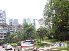 近商圈 邻轻轨 配套成熟 生活无忧,拎包入住