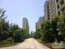 南北双花园 三面采光 原始物况从未使用 等同一手