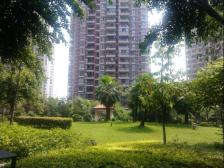 光宇阳光地中海 2室2厅 东南