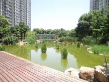 中南世纪城 大平层写字楼 诚心出售可议价