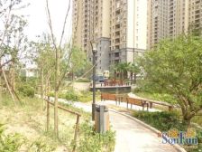 楼层好,采光好,装修好房东诚心出售,看房提前联系