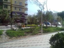 南北通透三室 简装 前排 小高层