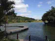 此房是少有正南向,山顶别墅,随时看房