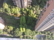 前后中庭,安静,南北朝向,大两房业主急卖