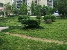 华夏城爆品户型楼层好 房子朝中庭的 精装修拎包入住