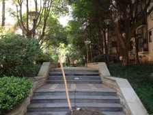 汽博,电梯洋房,一线看金山公园!!