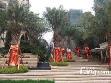 花千树二期小高层 看中庭 居家舒适