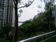 广厦城正规大四房 户型方正 采光好