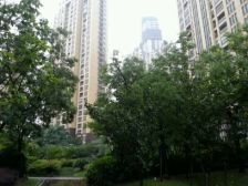 园区正四房 满五唯一 万科物业 清水毛坯 诚意出售。