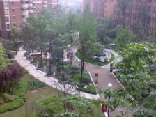 蓝溪谷地 2室1厅 东南 西北