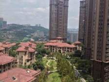 鸳鸯 复地上城二房115万