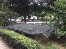 洋河花园 5室2厅 南