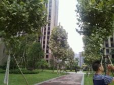 大学城 协信城立方天娇名城二期四房140万