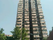 金杨·金杨八街坊·2室·1厅