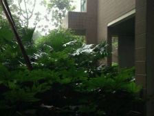 华岩新城 金科阳光小镇天天向上三房63.8万